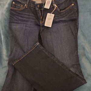 Torrid Denim Jeans